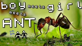 Learning to like ANT ATTACK for Spectrum