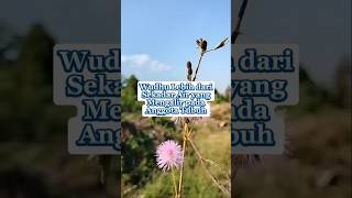 The True Meaning of Ablution #sermon #ustadzadihidayat #motivation #view #wildflowers