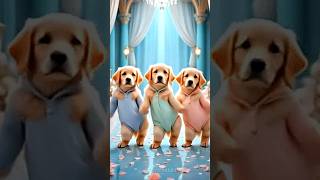 Cute Puppies Crazy Dance 😆| #funnyanimals #cutepuppy #funnyvideo #dogshorts #viraldance #549