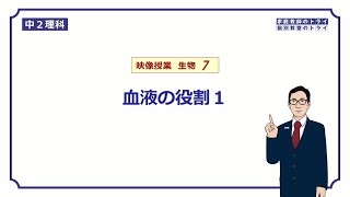 [Junior high school 2nd grade, Science, Biology] Blood components and roles (17 minutes)