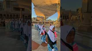 Riaz ul Jannah, #riazuljannah madina live makkah live #makkah #madina #shorts hajj safa marwa mecca