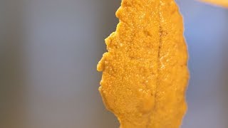 街坊試食  澳洲塔斯曼尼亞無污染海膽 - 東張西望