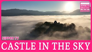 【TRAVEL】Castle appeares above a sea of clouds in Fukui, Japan.天空の城🏯