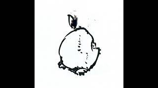 Shy Rabbit