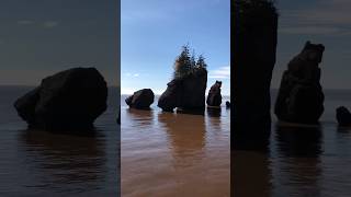 【渔游好望角】Hopewell Rocks 北美的好望角@Moncton New Brunswick