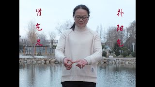 肾气足，百病消的运动疗法，提肾气，补阳气，改善肾气不足