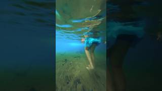 hidden waterfall in Kozhikode #shorts #youtubeshorts #monsoon #keralatourism #travelbee #nivedya