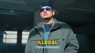 Illegal - Dhanda Nyoliwala (Slowed+Reverb)