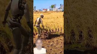 Robots harvesting grain.-The Reality of Living in China
