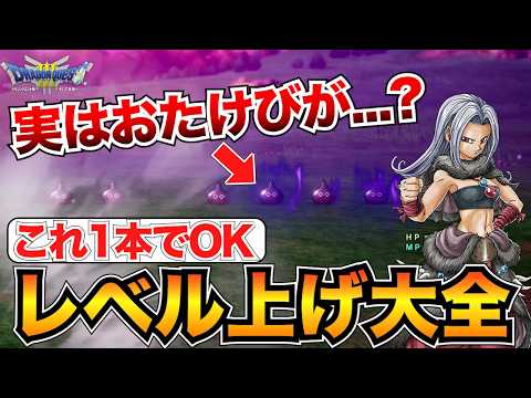 【序盤〜クリア後】結局どれが良い？レベル上げおすすめ場所&メタル狩りに必要な知識まとめ【ドラクエ3リメイク】