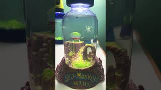 Sea-Monkeys on Mars! Looks like they’re loving it!
