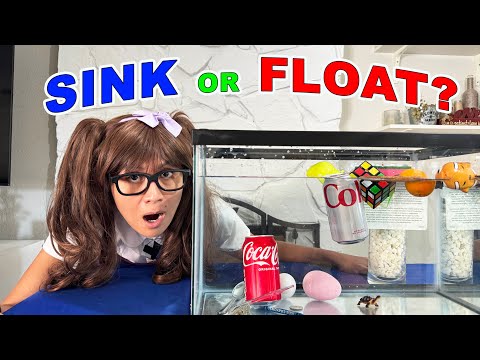 Sink or Float with Soso | Science Experiments for Kids