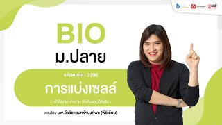 การแบ่งเซลล์ | ตัวอย่างคอร์สเรียน ชีววิทยา ม.ปลาย | OnDemand