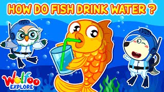 How Do Fish Drink Water? 🐟💧 | 🔍 Wolfoo Explore  - Animals | Educational Videos