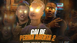 TROVÃO NO BEAT - GORDINHO BOLADO - MC DANINHO - CAI DE PERNA ABERTA 2 (vai rolar uma festinha )