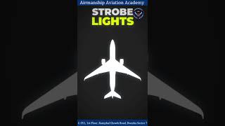 Learn about the 4 essential aircraft lights. #AviationLights #AircraftEssentials #FlightSafety
