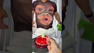 Blowing Gorilla by Tsuriki Show Monkeys planet