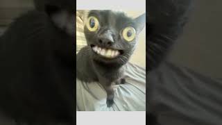 funny face