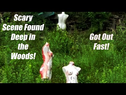 SCARY SCENE FOUND DEEP IN THE WOODS!