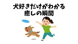 犬好きだけがわかる癒しの瞬間