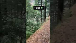 ♥️ #mountains #pahadi #pahad #youtube #uttrakandi #nature #youtubeshorts #goviral #viralvideo #views