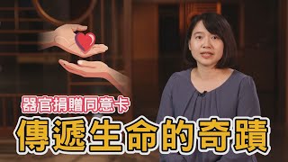 ♥️器官捐贈同意卡 ♥️上萬名病患等待器官移植 捐贈人數僅300到400名∣花蓮慈濟醫院 社會服務室 ∣陳盈羽社工師