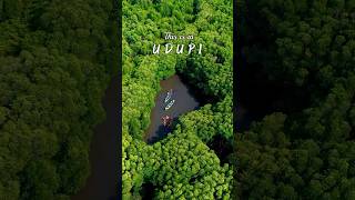 Mangrove Backwater Kayaking , Saligrama #udupi #nature #explore Karnataka