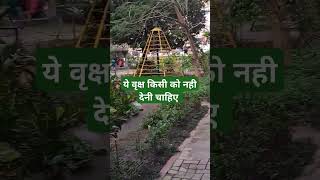 #panditpradeepmishraji #plants #upay #pradeepmishrashivmahapuran #shorts