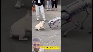 Ai robot dog. Who do you think would win?#ai