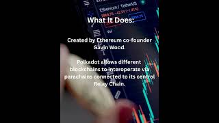 What is DOT (Polkadot) 1Minute Bitesize Lesson🕸️ Financial Literacy TV