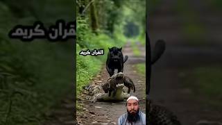لا إله الاانت سبحانك أني كنت من الظاليمن #0056