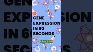 Gene Expression Simplified: DNA to Protein