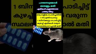 How to get rid of Rats easily ||#Miraclefoodies