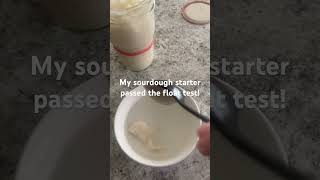 Sourdough starter float test!