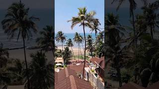Vagator Goa Bo Tai Little #shorts Places to eat in Goa