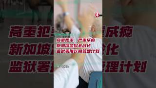 高重犯率、严重成瘾  新加坡监狱老龄化  监狱署推长期管理计划 #singapore #sgnews #prison #新加坡 #监狱 #新加坡生活
