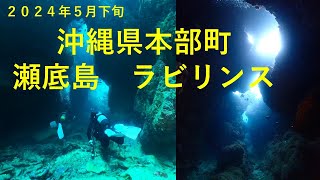 【沖縄　瀬底島ダイビング　ラビリンス】２０２４年５月下旬　洞窟三昧　沖縄県本部町　瀬底島ダイビング　ラビリンス　水納島ダイビング　沖縄ダイビング　水中動画　GOPROHERO11BLACK