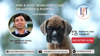 Pre and Post Whelping Care of Mother and Puppies