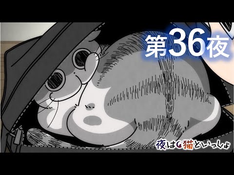 アニメ『夜は猫といっしょ』第36夜「バッグに入るネコ」