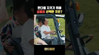 이러시면 안돼요!!! #판다 #성룡 #액션영화