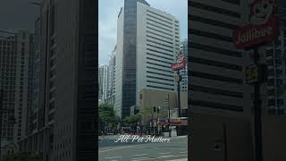 BGC traffic intersection.#allpetmatters #place #BGC #saferoads #tourism #Lovely #scenery #cityscape