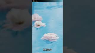 無盡 - 劉兆宇（播放鷄）