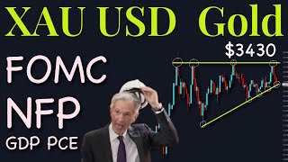 XAuUSD Gold Technical Analysis 28 July to 1 August 2025