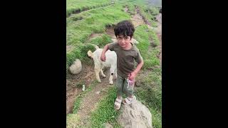 #nfak #sadcoversong #musiclyrics #love #songlyrics #song #sadmusic #nature #sadsongs #travel
