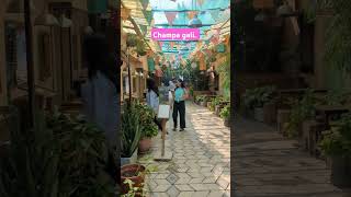Champa Gali in #saket #delhi #delhiblogger #delhifoodie #champagali #delhiyoutuber