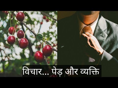 || Tree and human ll motivational thought by refresh motivation ||