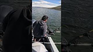 Fish Releasing Himself! #fishing #fishingvideo #fishingshorts #troutfishing #laketrout #trout #lake
