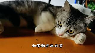 对单身女性来说，金钱和健康哪个更重要？ #中年少女 #大龄单身