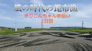 浜中町霧多布の昆布漁。アゼチの岬から朝５時に船が一斉にスタートするのを見たいが、霧で見えなかった。しかし、沖から船が戻ってくるのを橋の下からバッチリとれました！