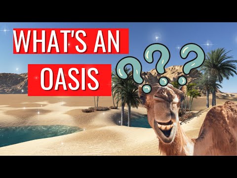 Exploring the Mysteries of Oasis: What Is It and How Does It Work?